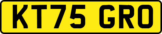KT75GRO