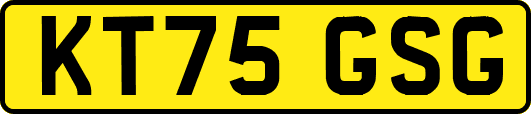 KT75GSG