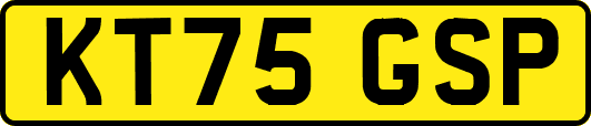 KT75GSP