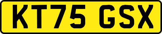 KT75GSX
