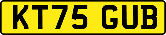 KT75GUB
