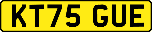 KT75GUE