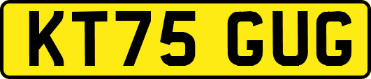 KT75GUG