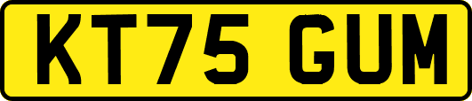 KT75GUM