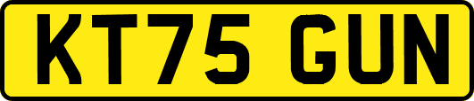 KT75GUN