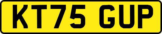 KT75GUP
