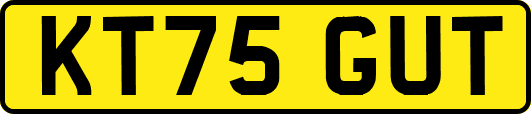 KT75GUT