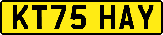 KT75HAY