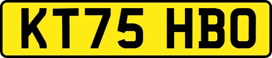 KT75HBO
