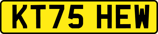 KT75HEW