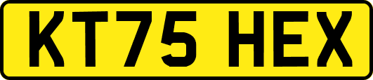 KT75HEX