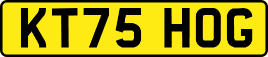 KT75HOG