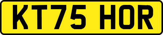KT75HOR