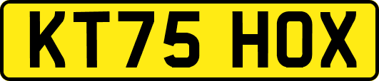 KT75HOX