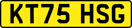 KT75HSG
