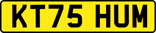 KT75HUM