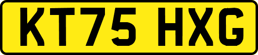KT75HXG