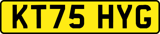 KT75HYG