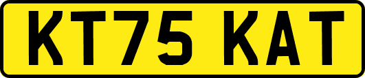 KT75KAT