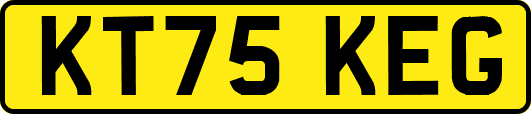 KT75KEG