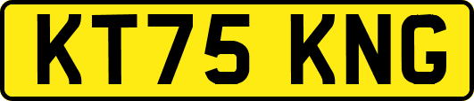KT75KNG