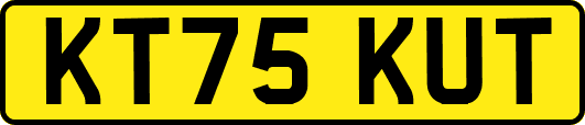 KT75KUT