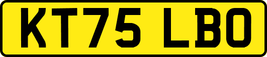 KT75LBO