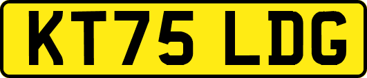 KT75LDG
