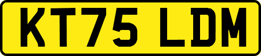 KT75LDM