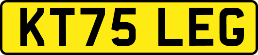 KT75LEG