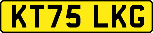 KT75LKG