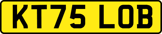 KT75LOB