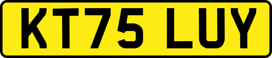 KT75LUY