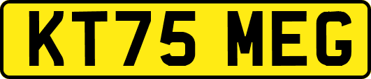 KT75MEG