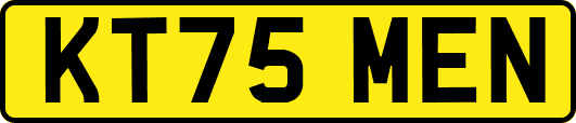 KT75MEN