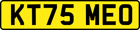 KT75MEO
