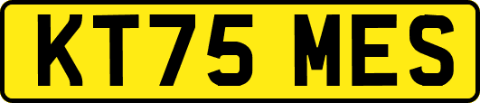 KT75MES