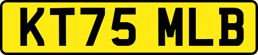 KT75MLB