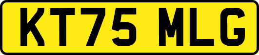 KT75MLG
