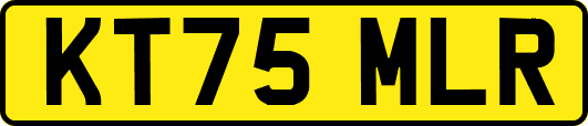 KT75MLR