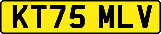 KT75MLV
