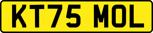 KT75MOL