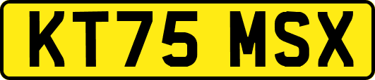 KT75MSX