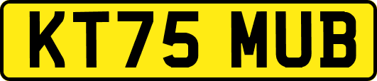 KT75MUB