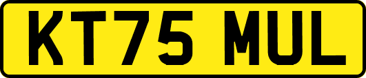 KT75MUL