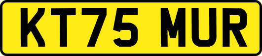 KT75MUR