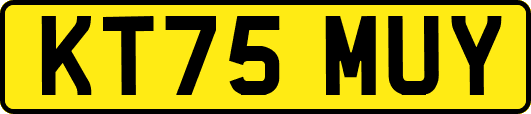 KT75MUY