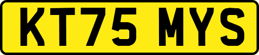 KT75MYS