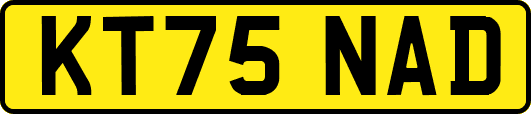 KT75NAD