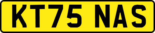 KT75NAS
